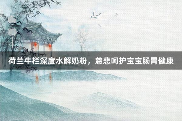 荷兰牛栏深度水解奶粉，慈悲呵护宝宝肠胃健康