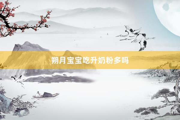 朔月宝宝吃升奶粉多吗